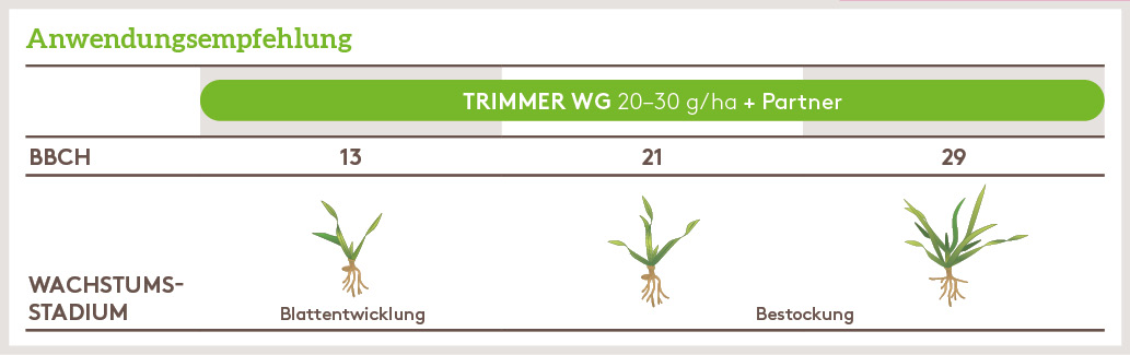 Herbst Anwendung_TRIMMER_HE_DE_01.jpg