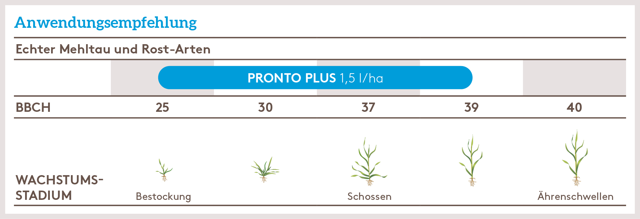 Frühjahr Anwendung_PRONTOPLUS_FJ_DE_01.jpg