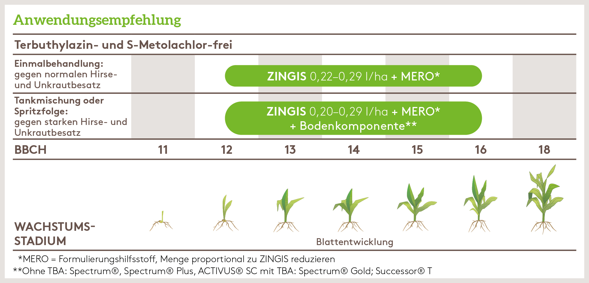 Frühjahr Anwendung_ZINGIS_FJ_DE_01.jpg