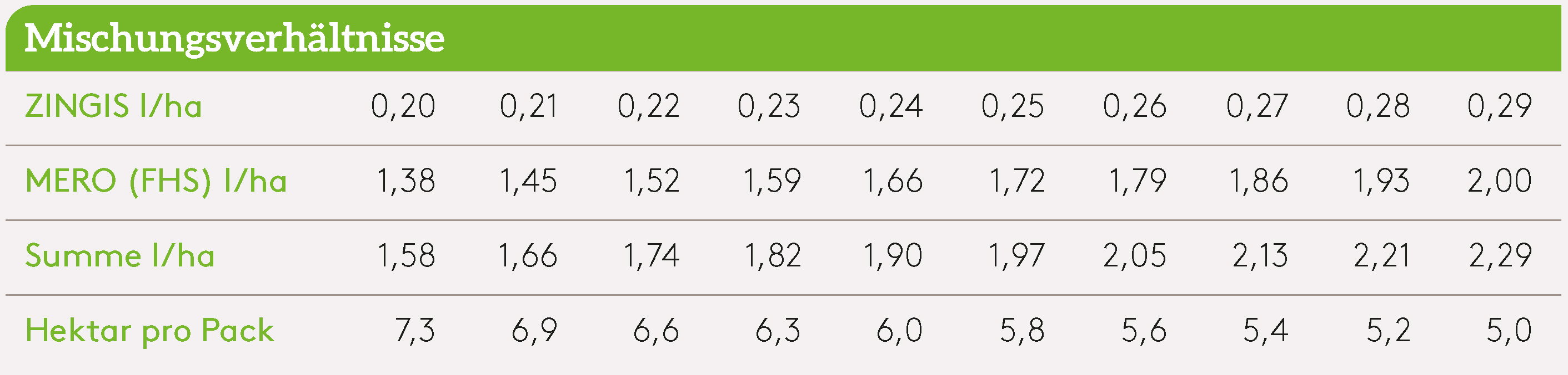 Marketing ZINGIS_Mischung.jpg