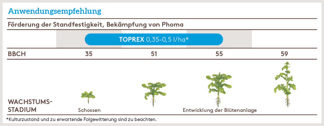 Frühjahr Anwendung_TOPREX_FJ_DE_01.jpg