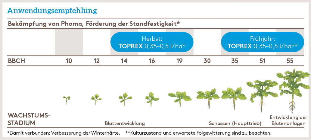 Herbst Anwendung_TOPREX_HE_DE_01.jpg