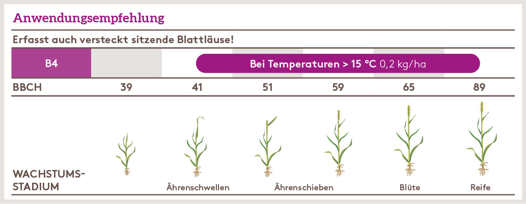 Frühjahr Anwendung_PIRIMOR_G_FJ_DE_01.jpg