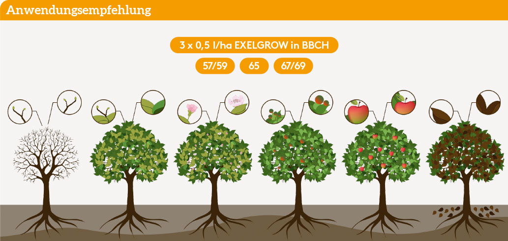 Frühjahr Anwendung_EXELGROW_FJ_DE_01.jpg