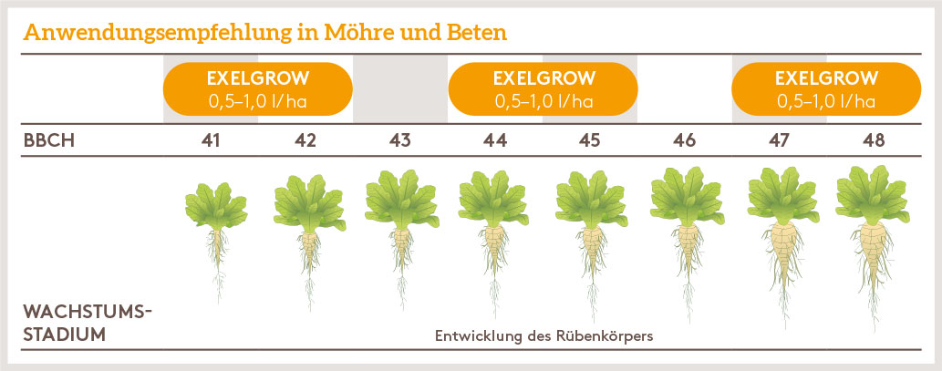 Frühjahr Anwendung_EXELGROW_SOKU_DE_01.jpg