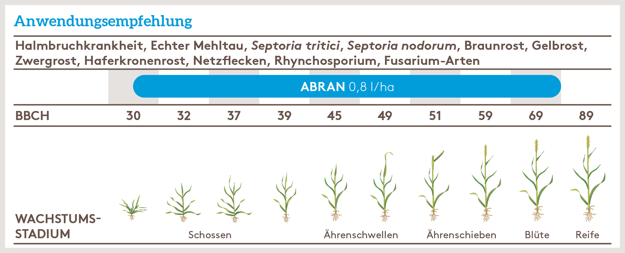 Frühjahr Anwendung_ABRAN_FJ_DE_01.jpg