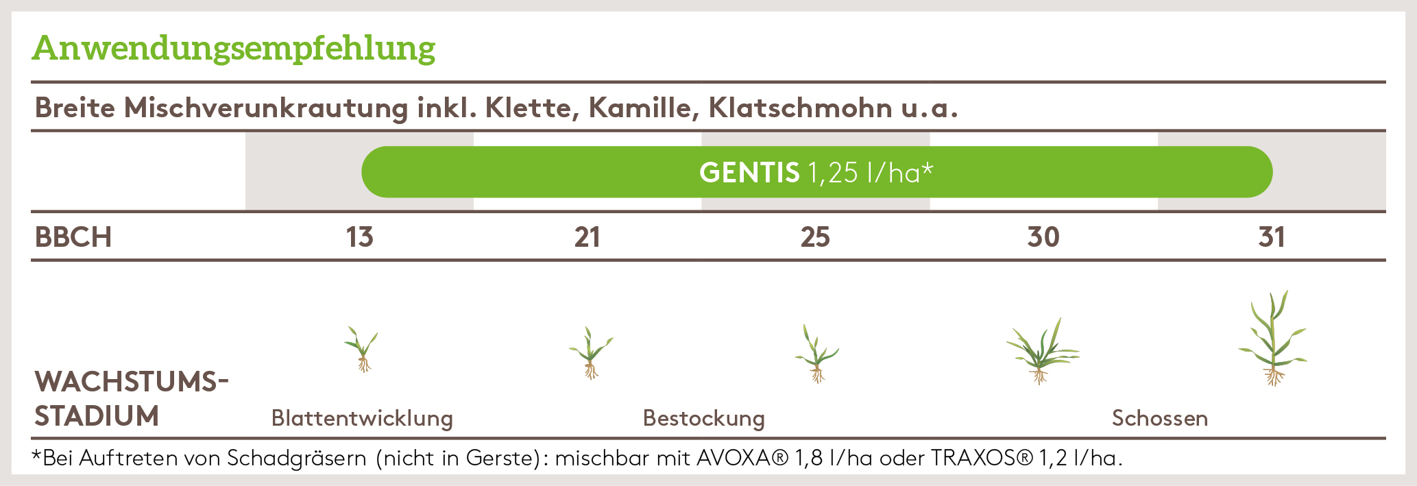 Frühjahr Anwendung_GENTIS_FJ_DE_01.jpg
