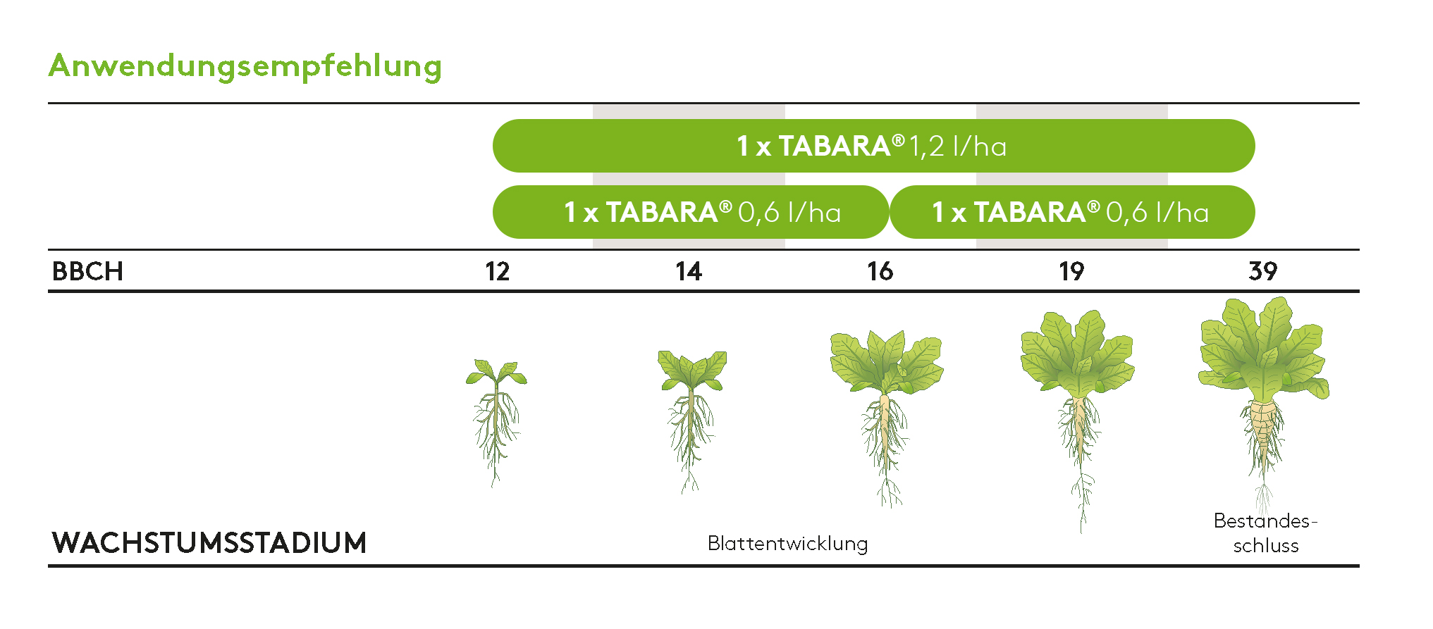 Frühjahr Tabara%20Anwendungsgrafik%20DE%20Fr%C3%BChjahr.png