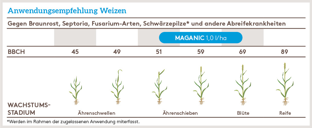 Frühjahr Anwendung_MAGANIC_FJ_DE_01.jpg