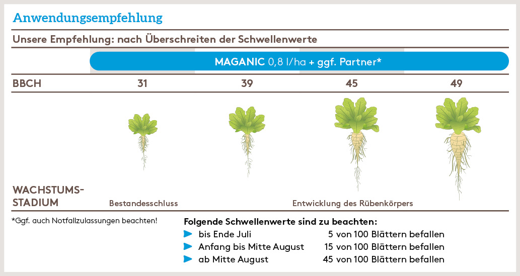Frühjahr Anwendung_MAGANIC_FJ_DE_02.jpg