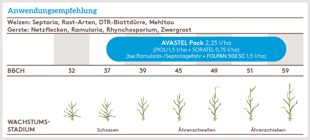Frühjahr Anwendung_AVASTEL_FJ_DE_01.jpg
