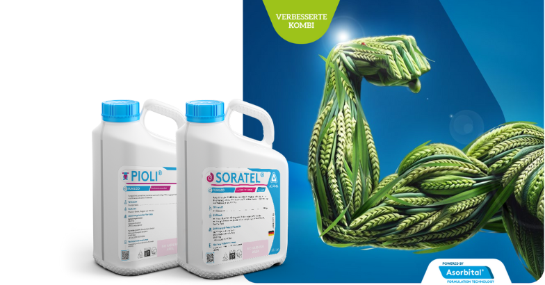 Marketing 2%20Grafik%20Avastel.png