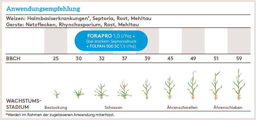 Frühjahr Anwendung_FORAPRO_FJ_DE_01.jpg