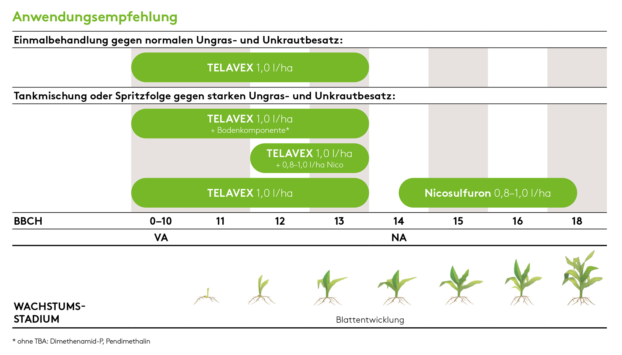 Frühjahr TELAVEX_AWE_2026.jpg