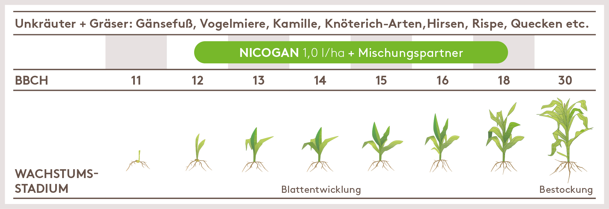 Frühjahr Anwendung_NICOGAN_FJ_DE_01.jpg