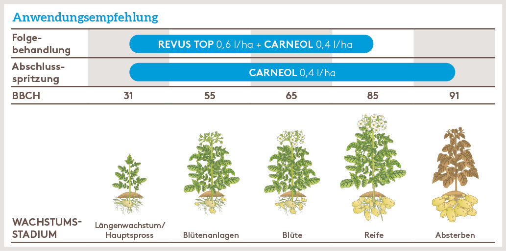 Frühjahr Anwendung_CARNEOL_FJ_DE_01.jpg