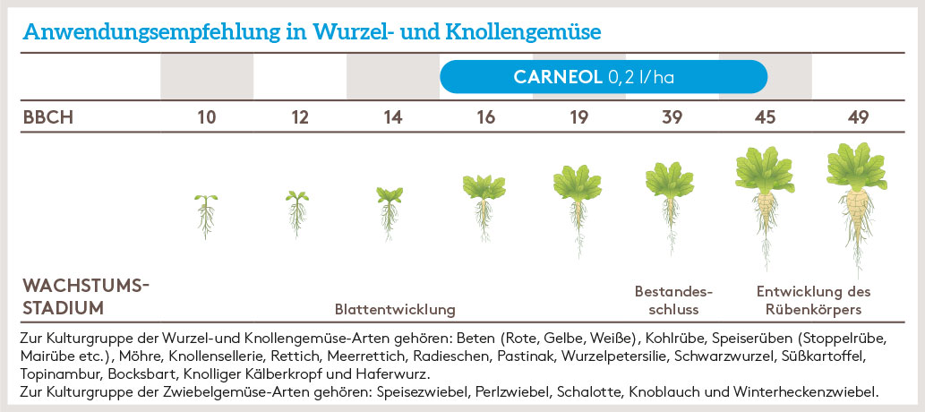 Frühjahr Anwendung_CARNEOL_SOKU_DE_01.jpg