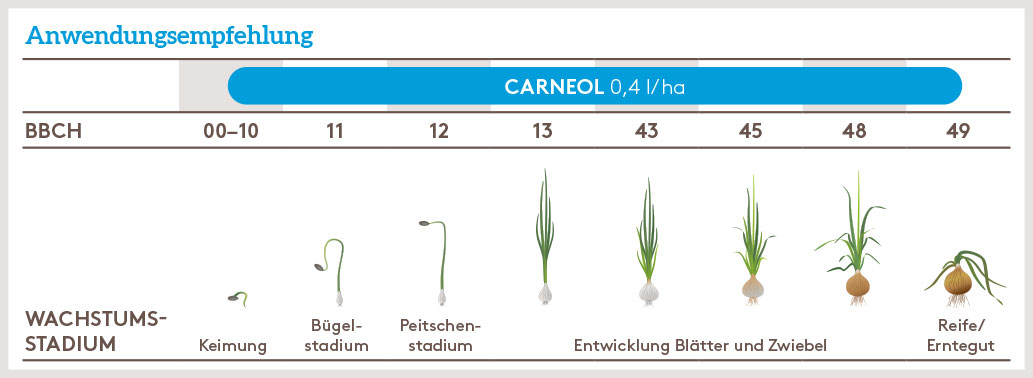 Frühjahr Anwendung_CARNEOL_SOKU_DE_02.jpg