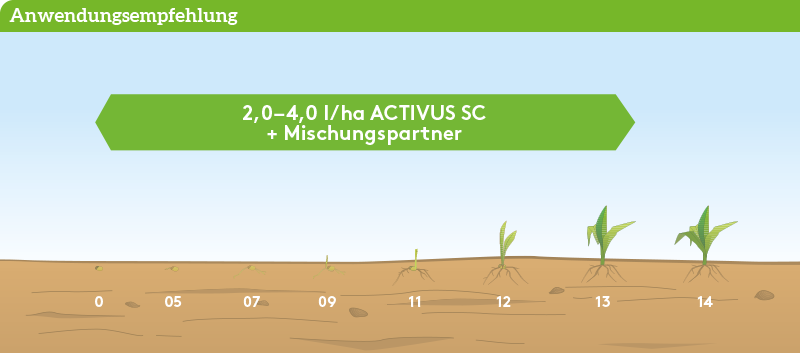 Frühjahr Anwendung_ActivusSC_Fj_AT_01.png
