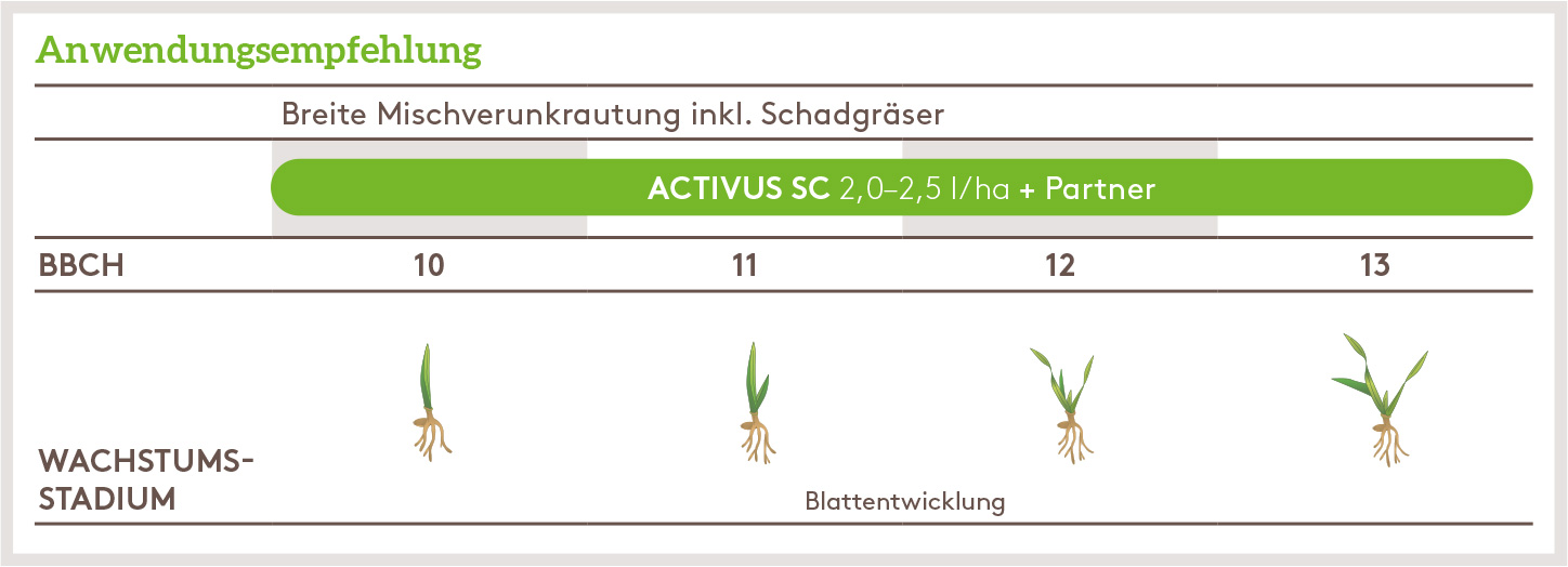 Herbst Anwendung_ACTIVUS_HE_AT_01.jpg
