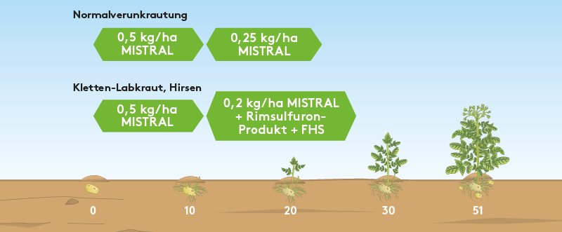 Frühjahr ADA_Anwgrafik_ABR_FJ_800px_DE_LY03_MISTRAL.png