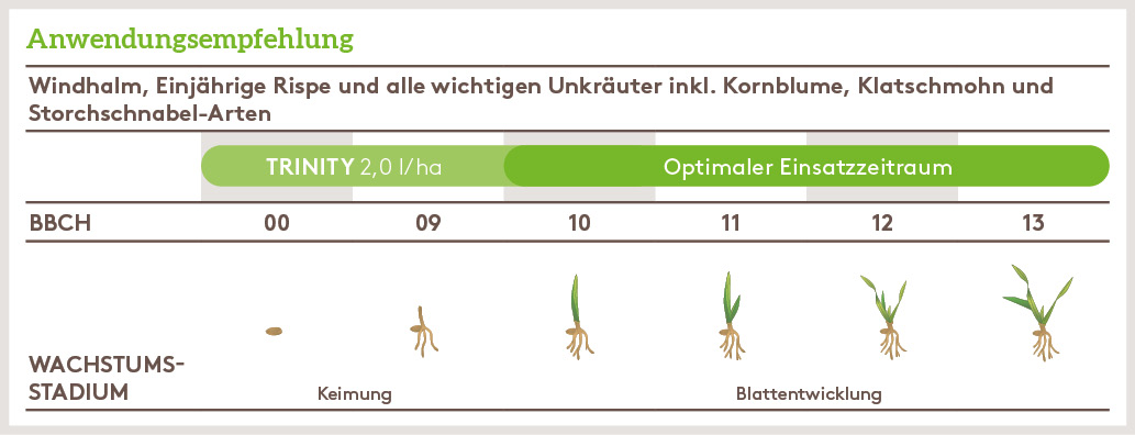 Herbst Anwendung_TRINITY_HE_AT_01.jpg