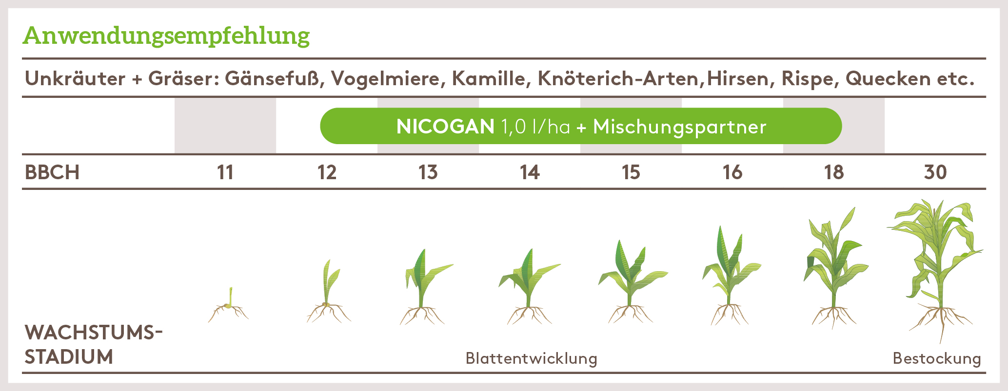Frühjahr Anwendung_NICOGAN_FJ_AT_01.jpg