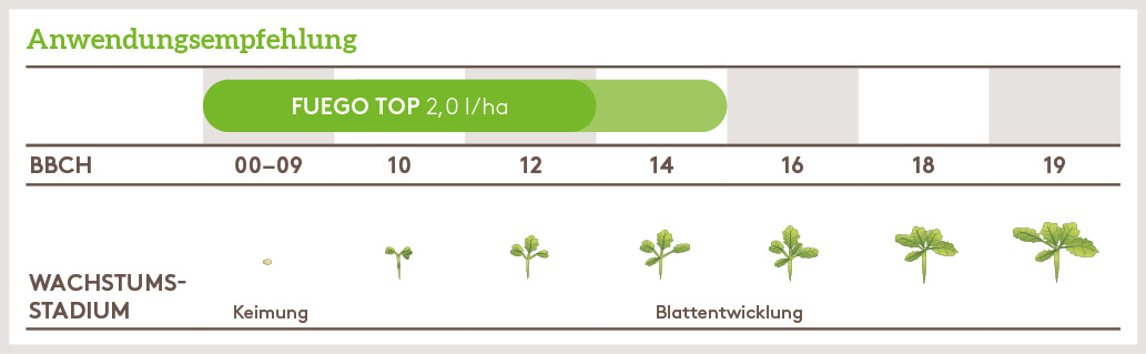 Herbst Anwendung_FUEGO_TOP_HE_DE_01.jpg