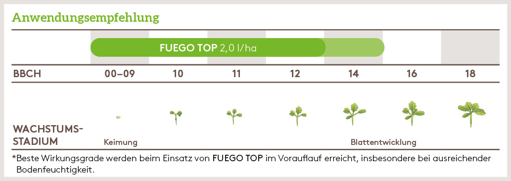 Herbst Anwendung_FUEGO_TOP_HE_AT_01.jpg