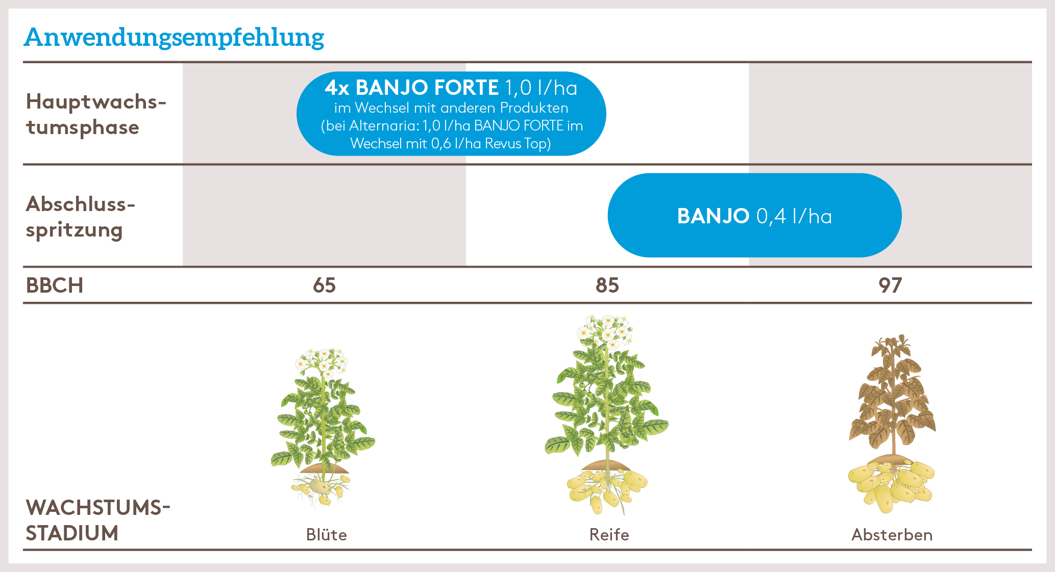 Frühjahr Anwendung_BANJOFORTE_FJ_AT_01.jpg