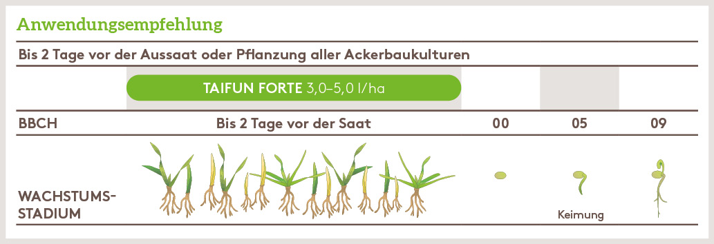 Herbst Anwendung_TAIFUN_FORTE_HE_AT_01.jpg