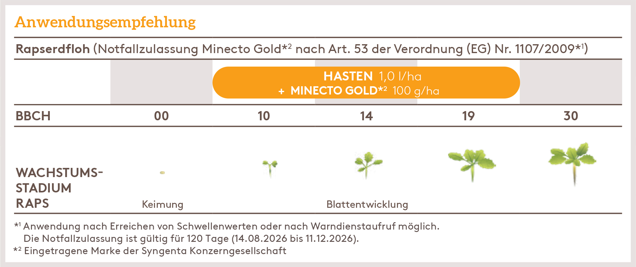 Herbst HASTEN_MINECTOGOLD_2026%201.jpg