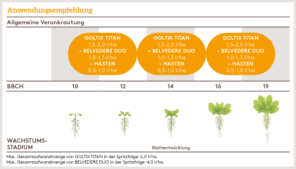 Frühjahr Anwendung_HASTEN_FJ_AT_01.jpg