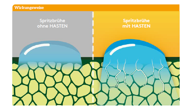 Marketing Marketing_Hasten.png