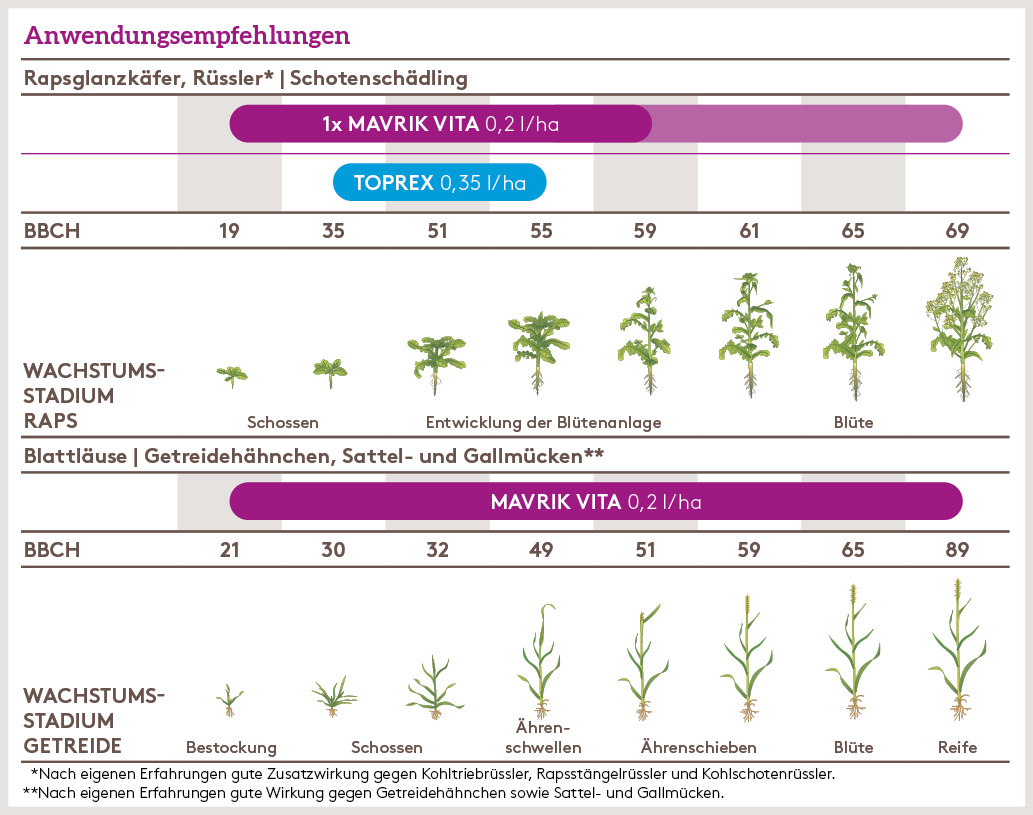 Frühjahr Anwendung_MAVRIK_VITA_FJ_DE_01.jpg