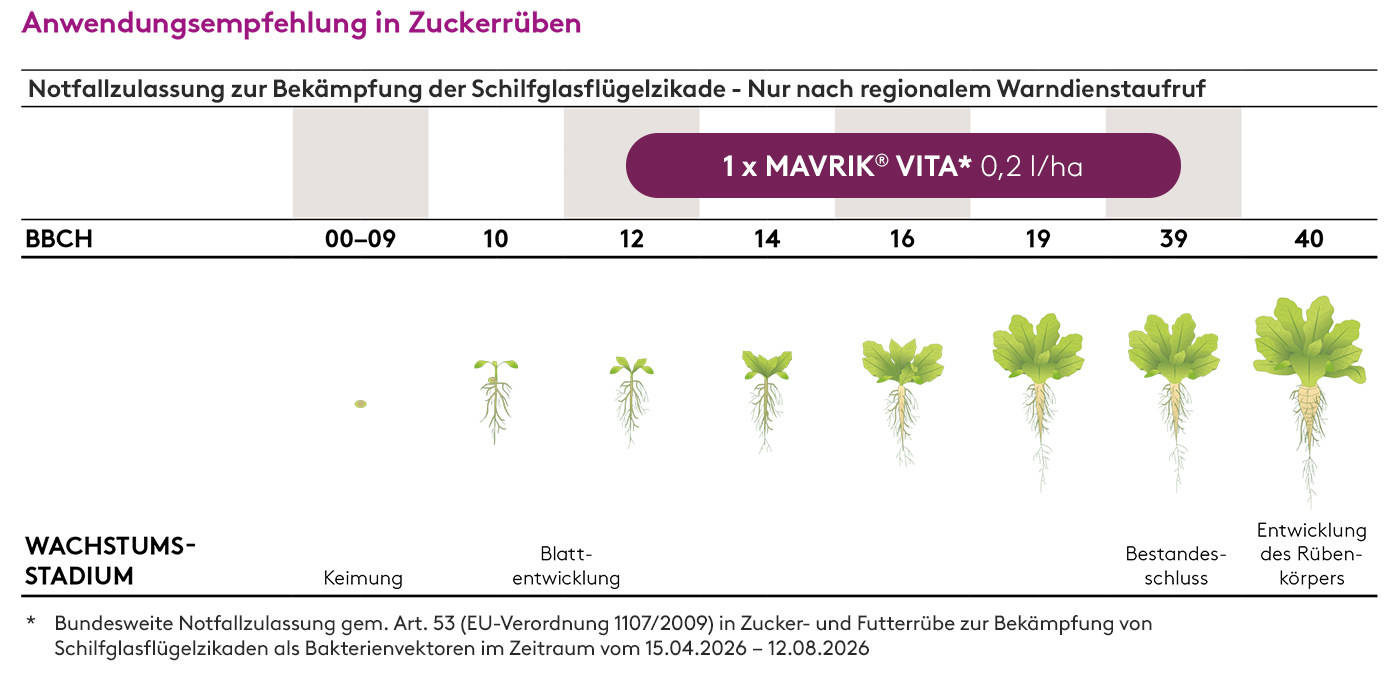 Frühjahr MAVRIK_VITA%20_2026_NFZ_Zuckerruebe_Neu%201.jpg