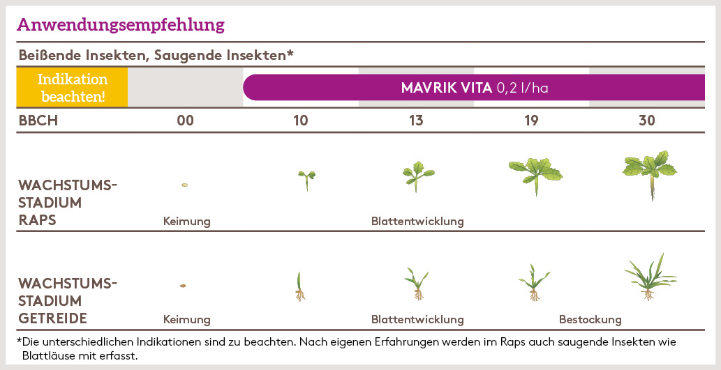 Herbst Anwendung_MAVRIK_VITA_HE_DE_01.jpg