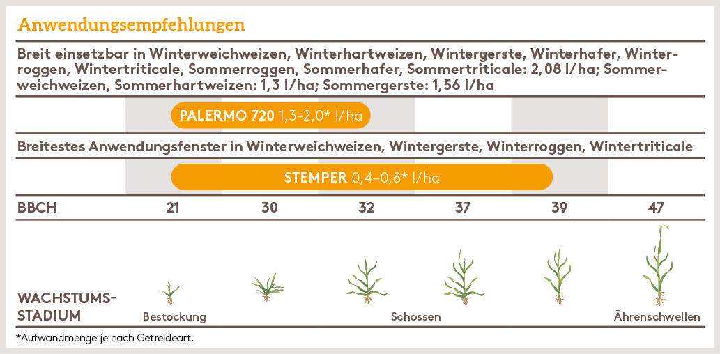Frühjahr Anwendung_PALERMO_STEMPER_FJ_DE_01.jpg