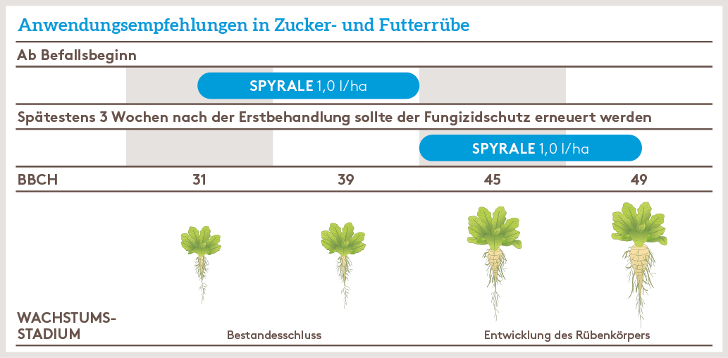 Frühjahr Anwendung_SPYRALE_FJ_AT_01.jpg