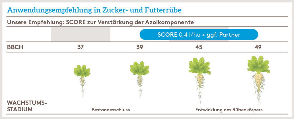 Frühjahr Anwendung_SCORE_FJ_AT_01.jpg