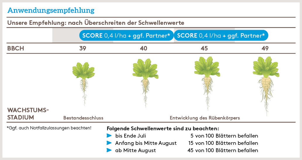 Frühjahr Anwendung_SCORE_FJ_DE_01.jpg