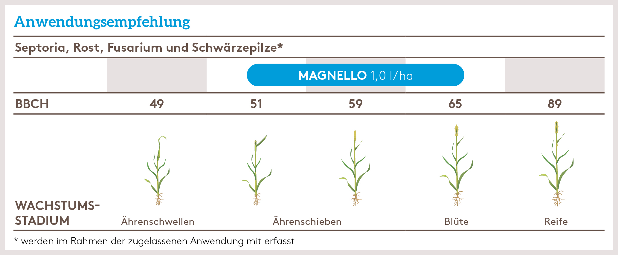 Frühjahr Anwendung_MAGNELLO_FJ_DE_01.jpg