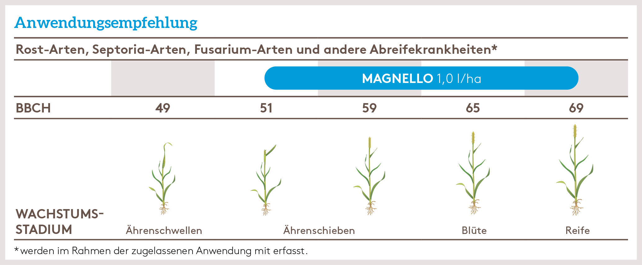Frühjahr Anwendung_MAGNELLO_FJ_AT_01.jpg