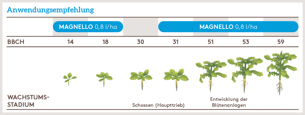 Herbst Anwendung_MAGNELLO_HE_AT_01.jpg