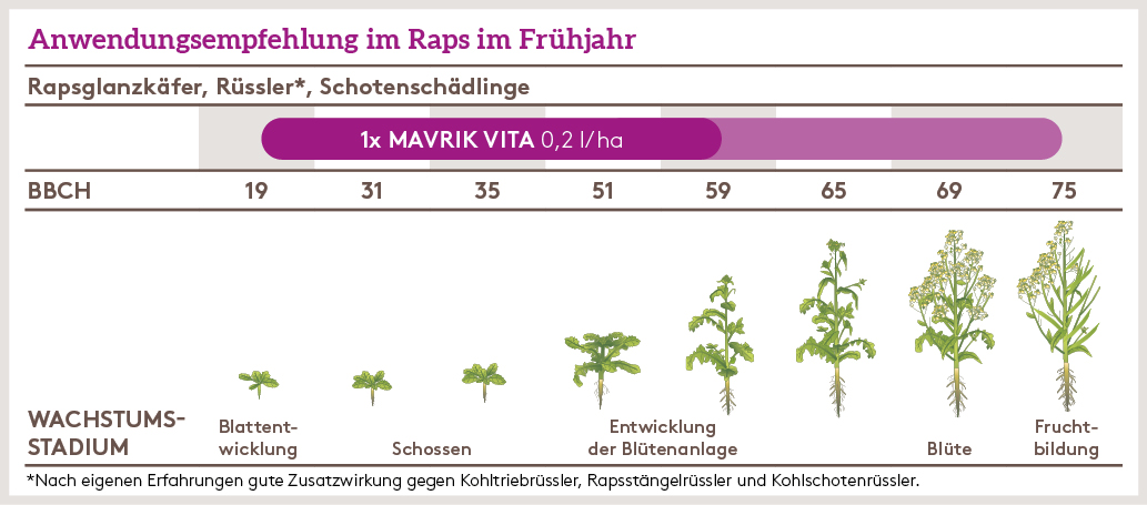 Frühjahr Anwendung_MAVRIK_VITA_FJ_AT_01.jpg