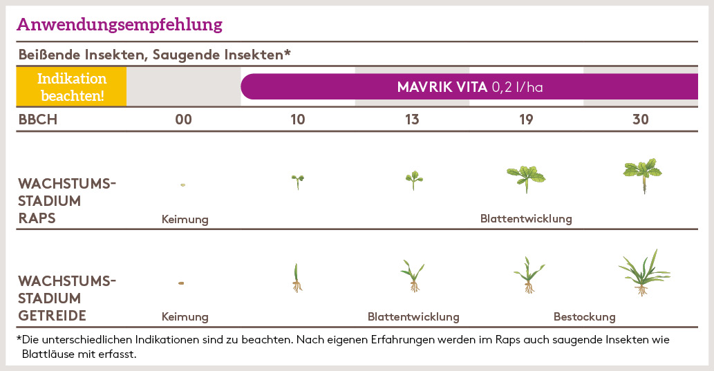 Herbst Anwendung_MAVRIK_VITA_HE_AT_01.jpg