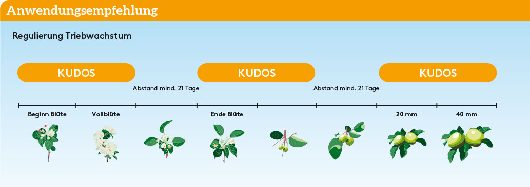 Frühjahr Anwendung_KUDOS_FJ_DE_01.jpg