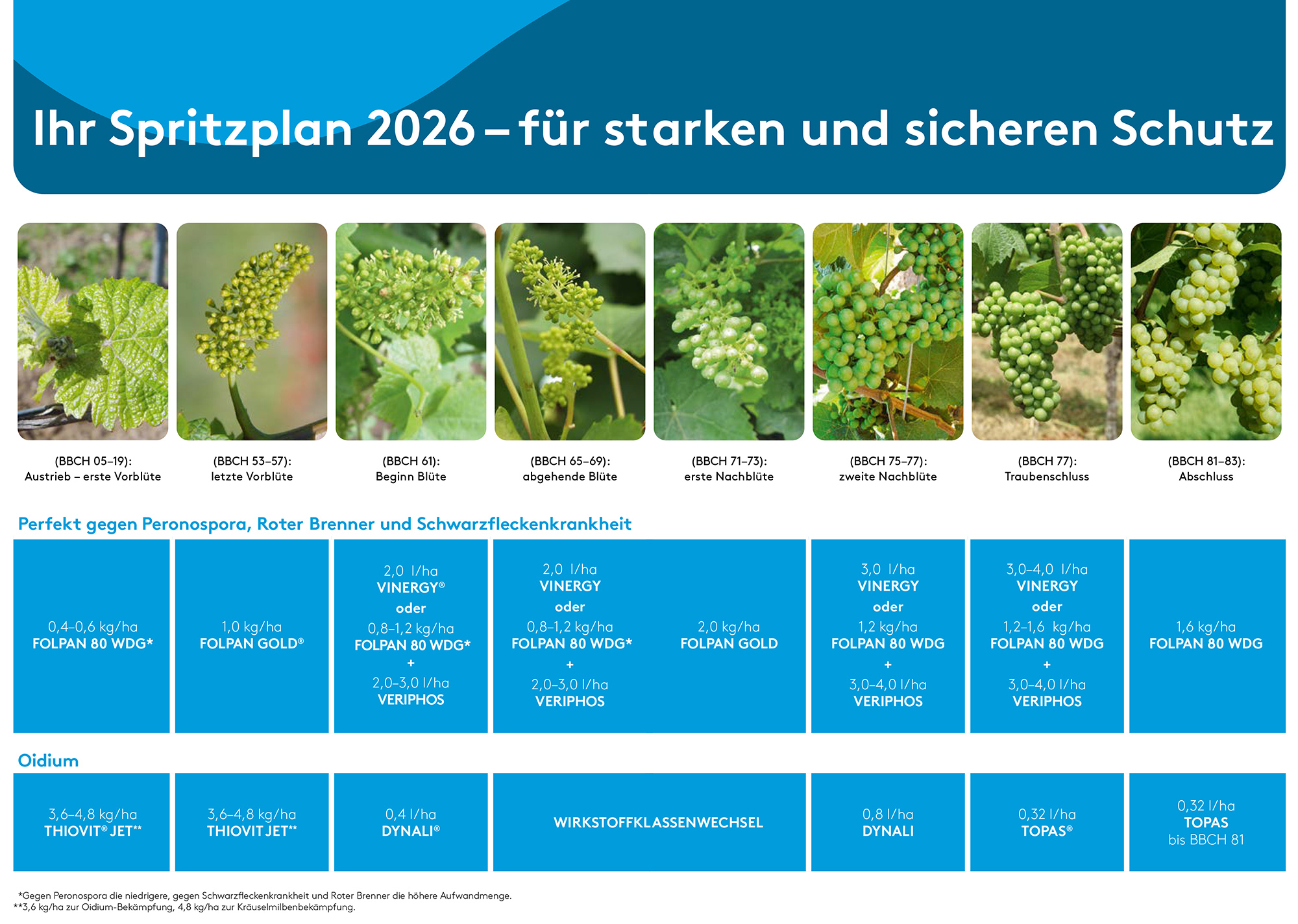 Marketing SPRITZPLAN2_WEINBAU_DE_AWE2026%20Kopie.jpg