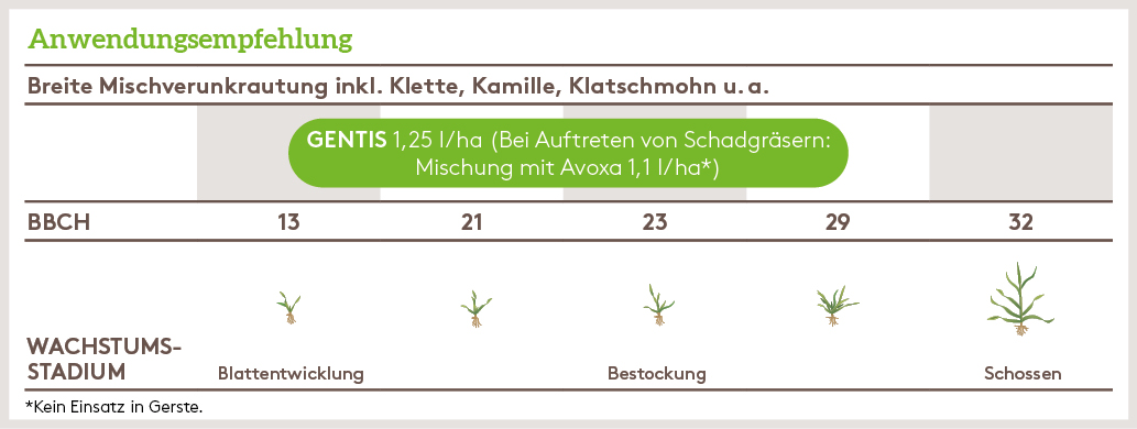 Frühjahr Anwendung_GENTIS_FJ_AT_01.jpg