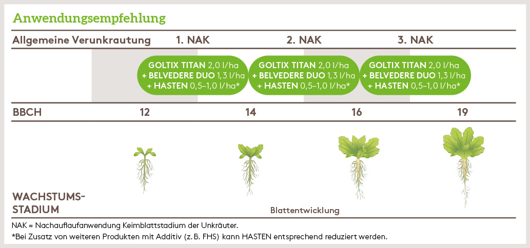 Frühjahr Anwendung_BELVEDERE_DUO_FJ_DE_01.jpg